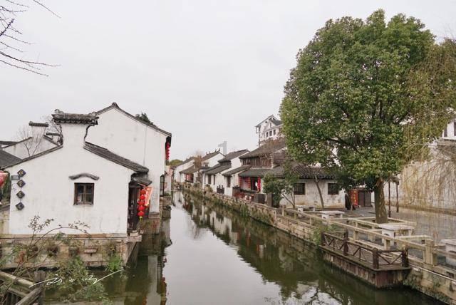 新疆首单尿素“保险+期货”项目在一师启动